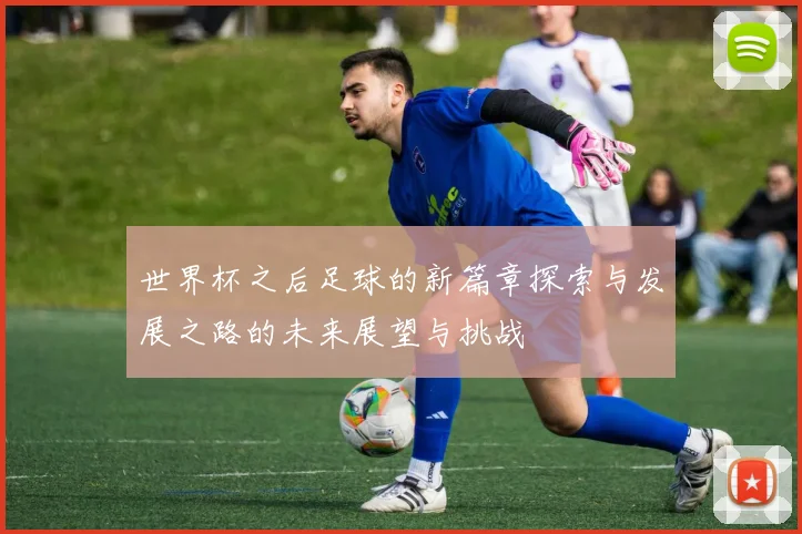 世界杯之后足球的新篇章探索与发展之路的未来展望与挑战