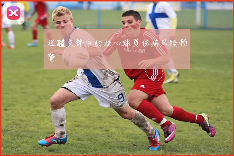 辽疆交锋中的核心球员伤病风险预警