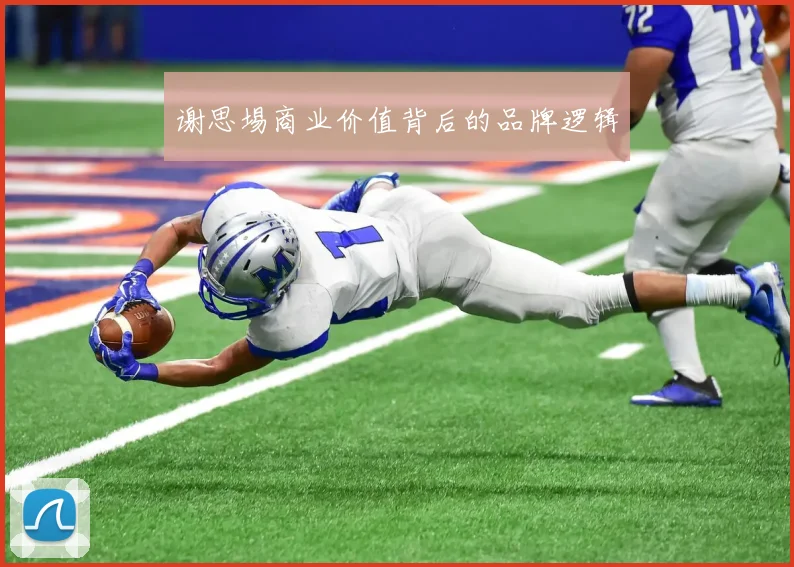 谢思埸商业价值背后的品牌逻辑
